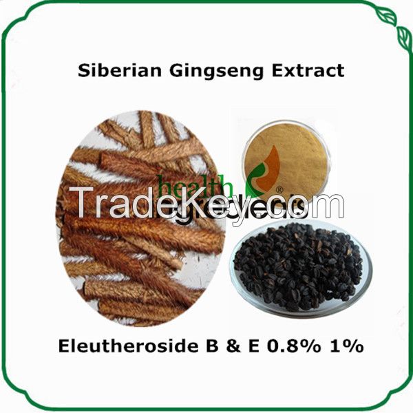 100% natural and high quality health care 0.8% siberian gingseng extract eleutherosideSB+E powder