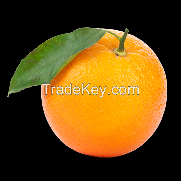 Fresh Orange