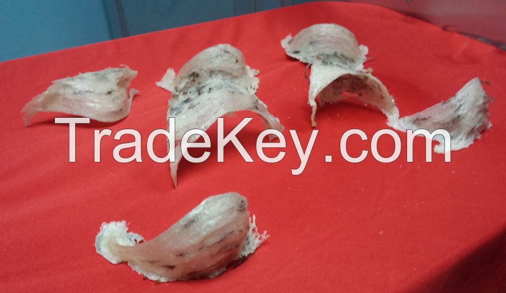 100% pure natural raw house swallow bird nest