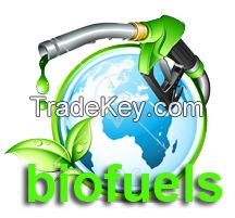 Biodiesel