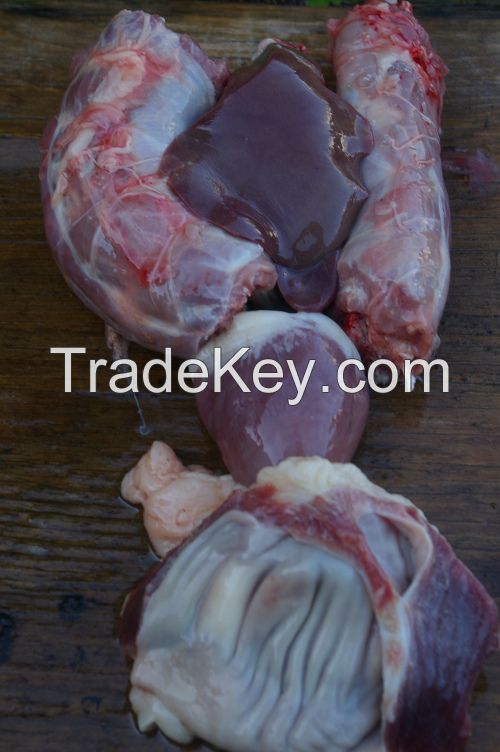 Halal Grade "A" Frozen Chicken Giblets[Liver And Heart, Carcasses, Neck With Skin] SK,Asia,Vietnam,China,Iran,Oman,UAE,Japan,\ ETC