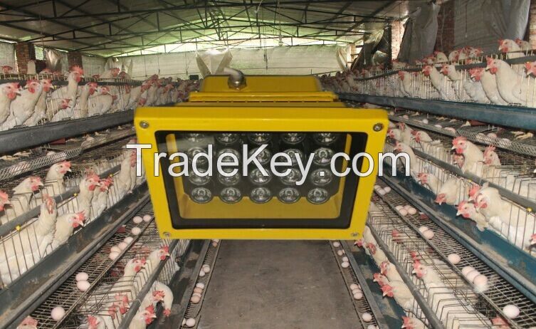 led poultry light, IP54 LED chicken lamp, stimulate gonadotropin, accelerate eggs production