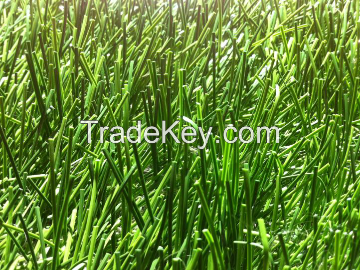 Artificial Grass