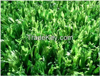 Artificial Grass