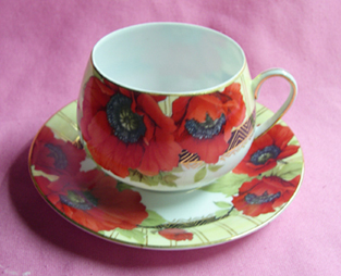 Coffee Cup & Saucer WY020