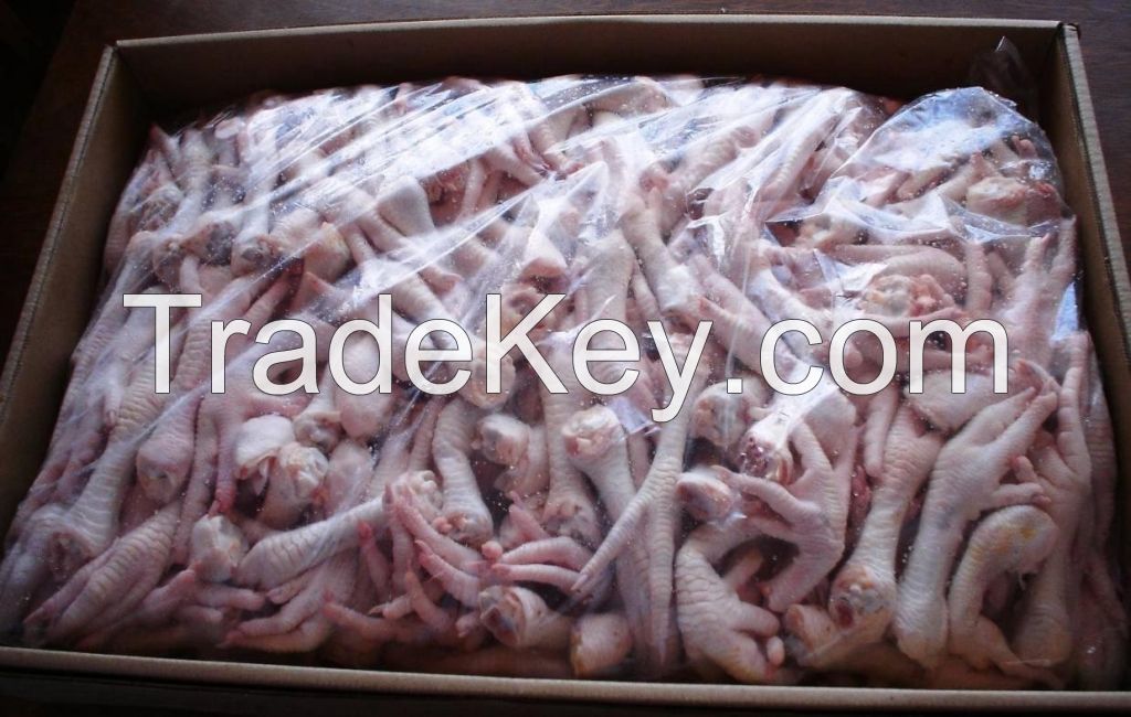 Wholesale Halal Frozen Chicken Feet and Paws 