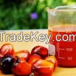 Palm oil & Kernel
