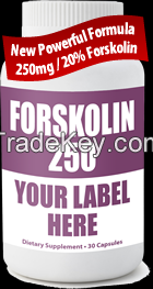 Forskolin 250 mg with 20% in vegetarian capsules