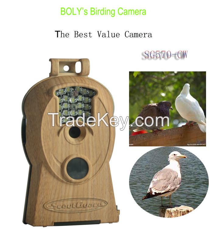 High Quality Bird watching Binoculars Telescope Digital Hunting Trail Scouting Game Camera With Color Day and Night 10mp Image And 720p Hd Videos