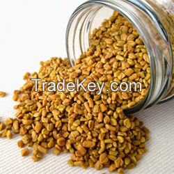 Fenugreek Seeds