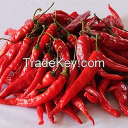 Kashmiri Red Chilli