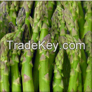 Fresh Quality Asparagus