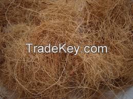 Coconut Fiber