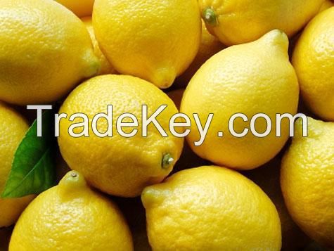 Fresh Lemon