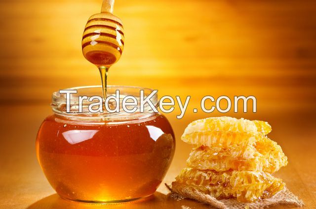 Nature pure Honey origin Ukraine