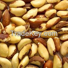 quality brazil nuts