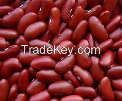  red kidney bean