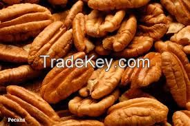 pecan nuts and walnuts