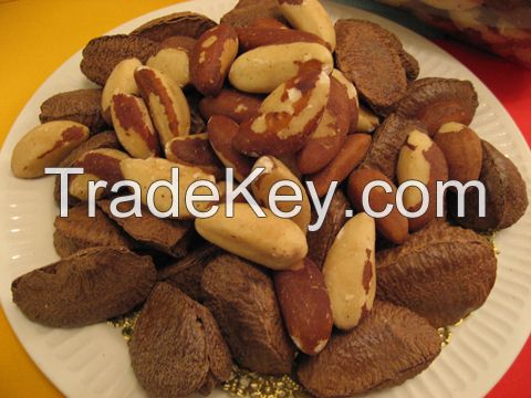 brazil nuts