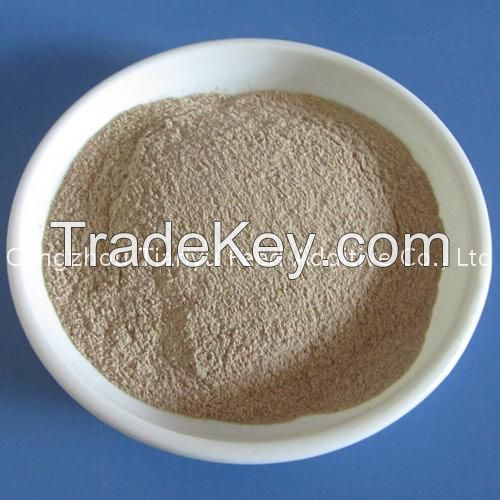 Yeast powder