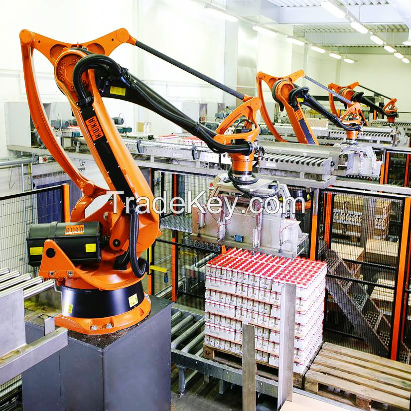 Robot Palletizing System