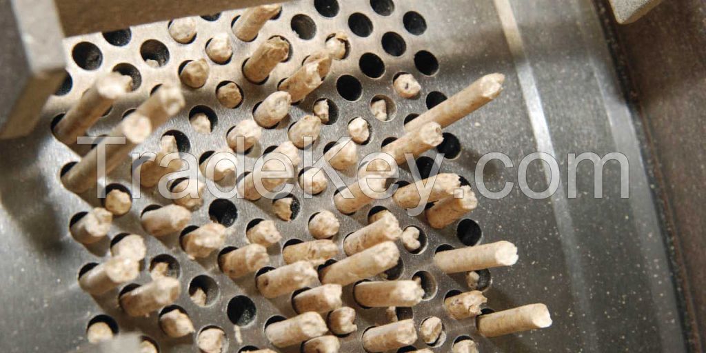 Russia Grade A Quality Wood Pellets 