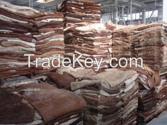 Dry and Wet Salted Cow and Sheep Skin, Wet salted Donkey / Cow Skin and Cow Hides and Other Animal Skin Avalaible