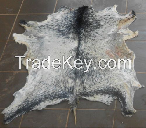 Dry and Wet Salted Donkey hides, Wet salted Donkey / Cow Skin and Cow Hides and Other Animal Skin Avalaible