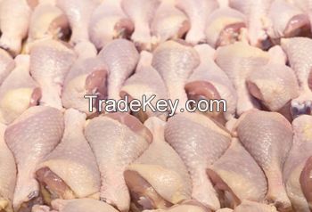 BEST QUALITY FROZEN CHICKEN FEET  AVAILABLE