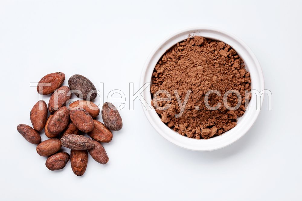 Top Quality Chocolate Powder In Stock