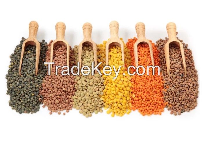 Top Grade-A Green chipped brownish yellow And Pure organic lentils