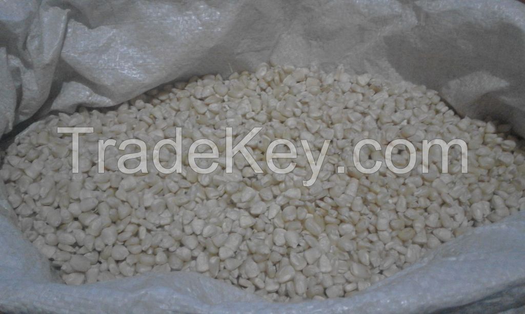 WHITE CORN | YELLOW CORN / MAIZE FOR SALE 