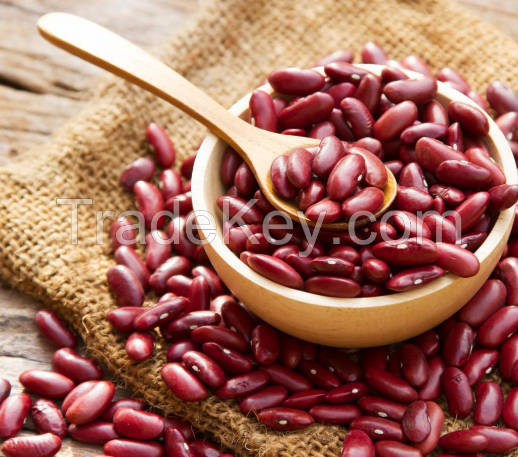 WHITE AND RED KIDNEY BEAN 