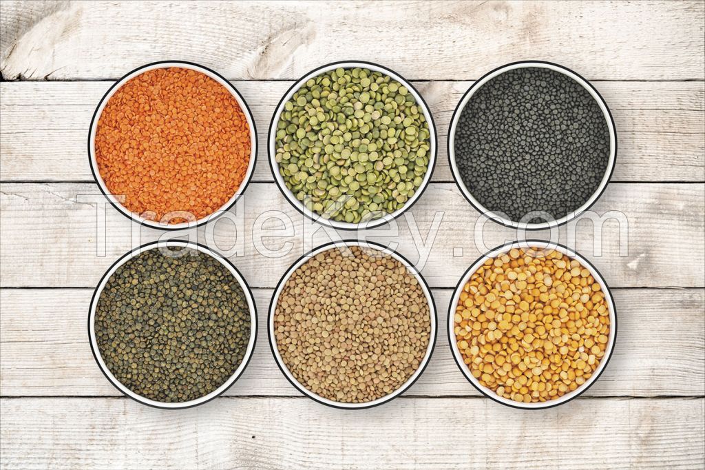 Pure organic lentils, Green chipped brownish yellow