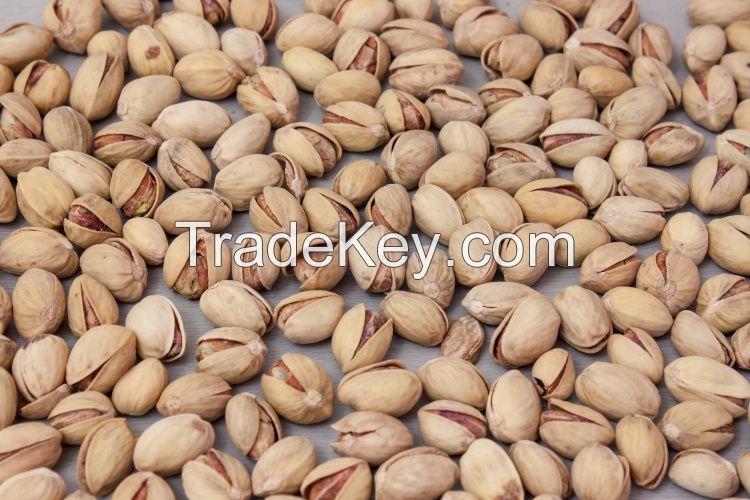 DRY PISTACHIO NUTS AVAILABLE