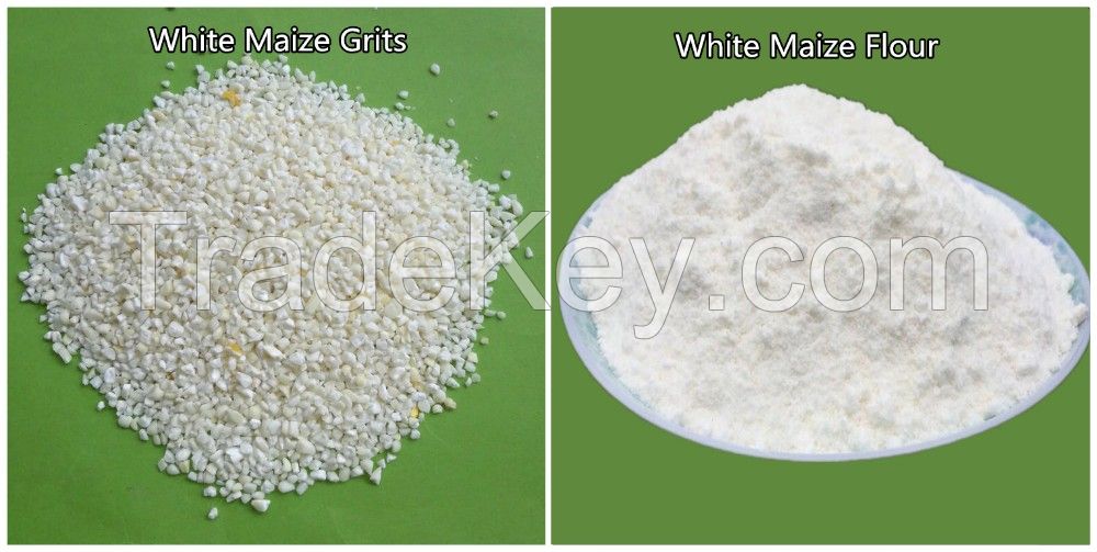 TOP QUALITY WHEAT FLOUR , WHITE CORN FLOUR FOR SALE