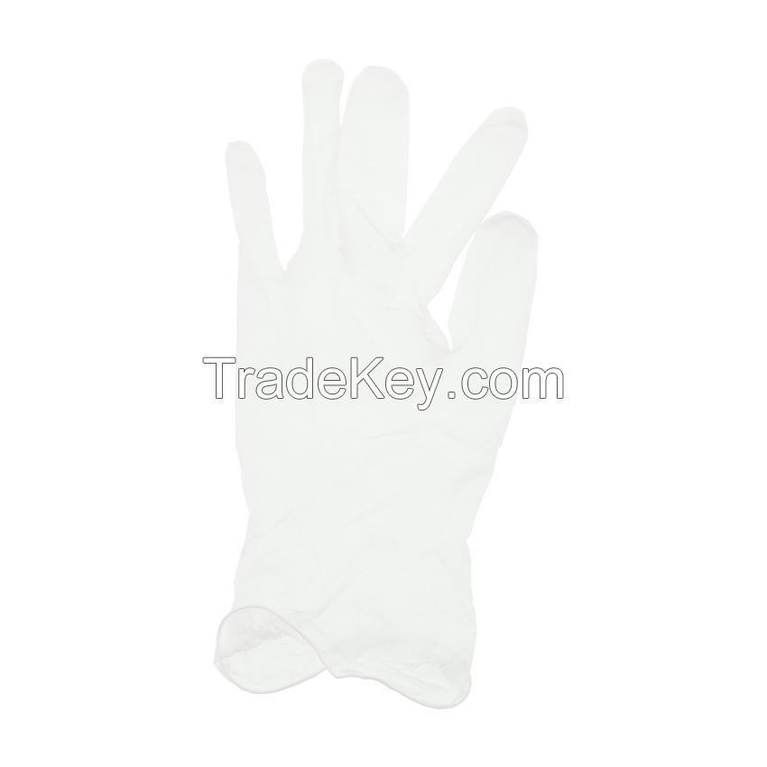 Dolphin Vinyl Powder-Free Disposable Gloves - Clear - Large - 100 Pack