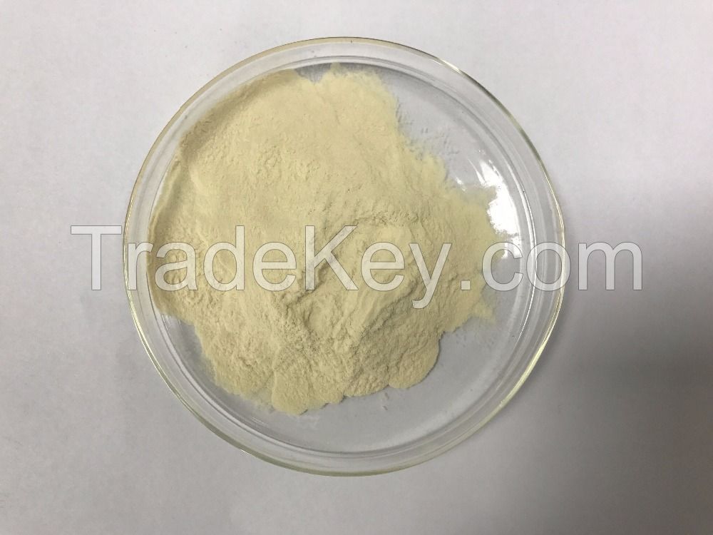 90% Wpi Whey Proteylate Powder Whey Protein