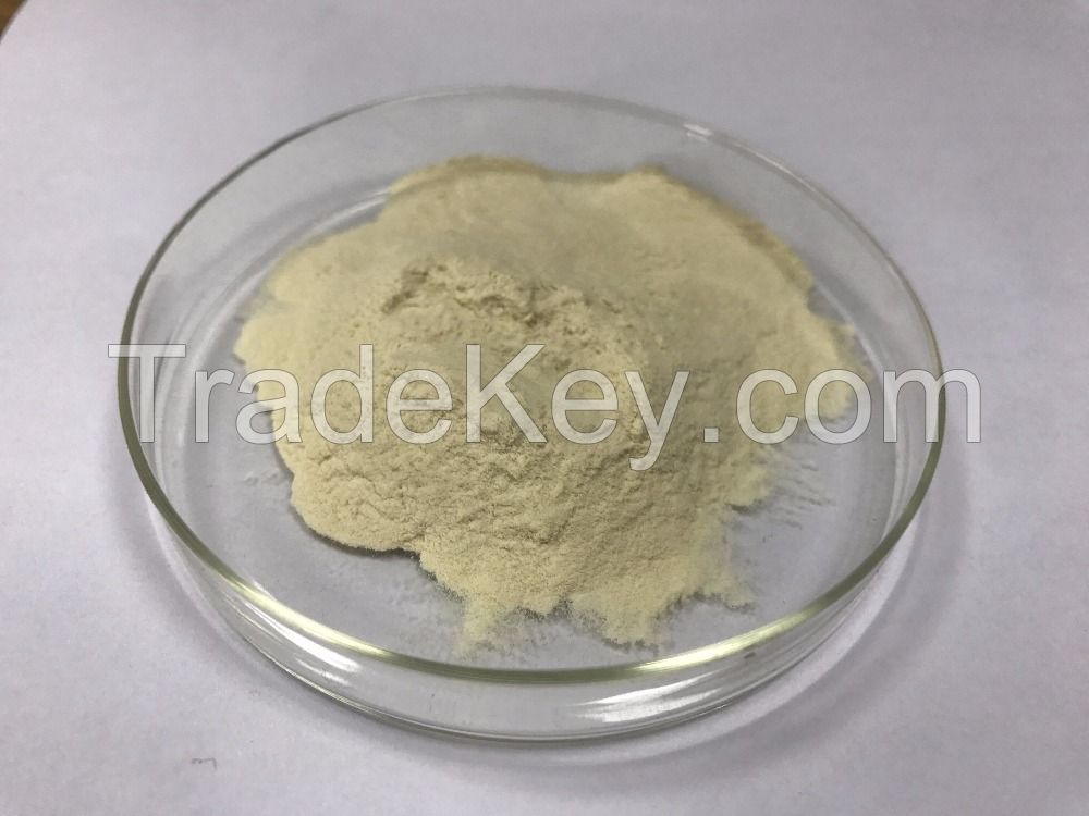 90% Wpi Whey Proteylate Powder Whey Protein