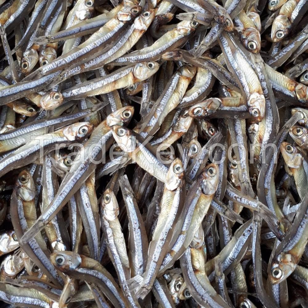 Frozen & Dried Anchovy At The Best Price In Russia 