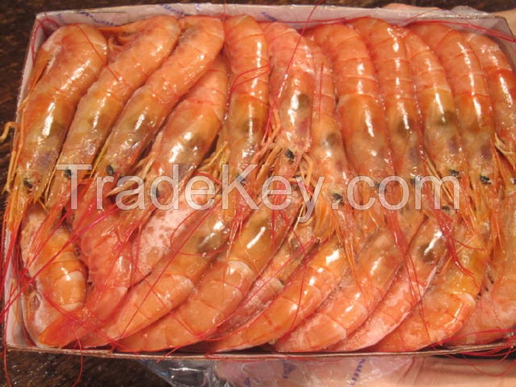 Frozen Crystal Red Shrimp/ Frozen Black Tiger Shrimp at PERFECT QUALITY