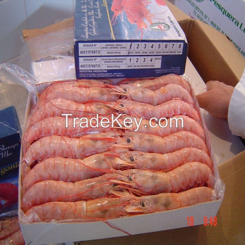 Argentine Frozen Crystal Red Shrimp/ Frozen Black Tiger Shrimp at PERFECT QUALITY