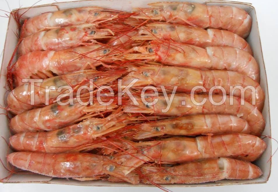 Fresh & Frozen Crystal Red Shrimp/ Frozen Black Tiger Shrimp at PERFECT QUALITY