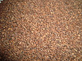 BROWN SESAME SEEDS