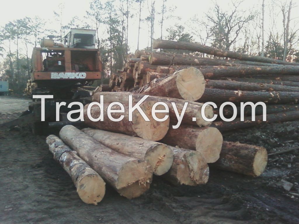 PINE LOGS