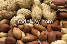 Raw Peanut Kernels