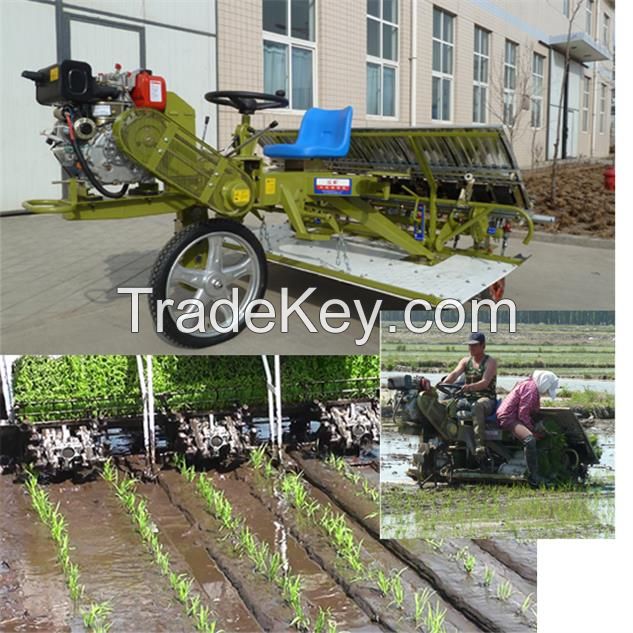 rice transplanter