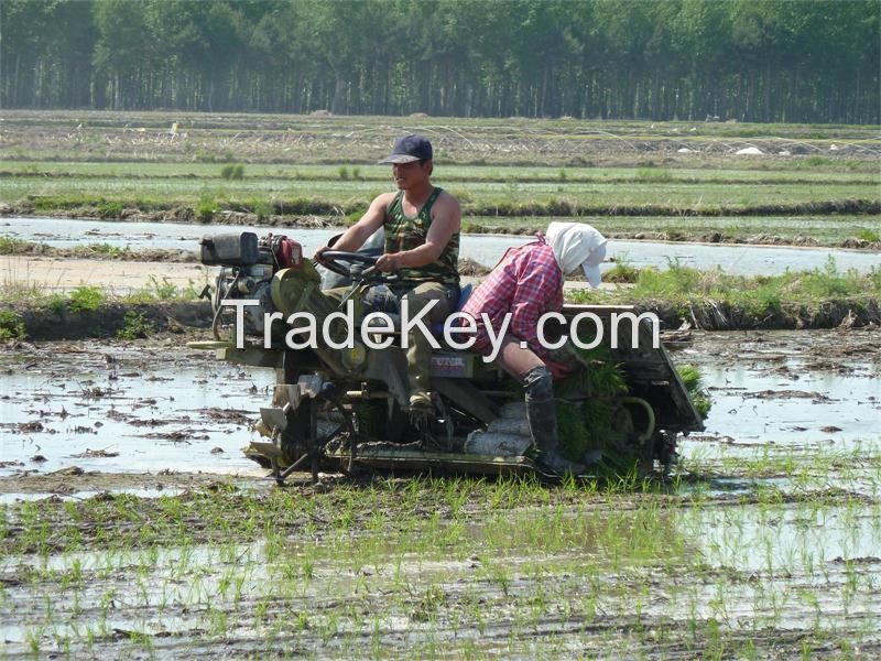 rice transplanter