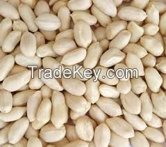  Peanut kernels