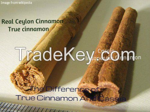 Premium Quality Pure Ceylon Cinnamon Sticks Organic